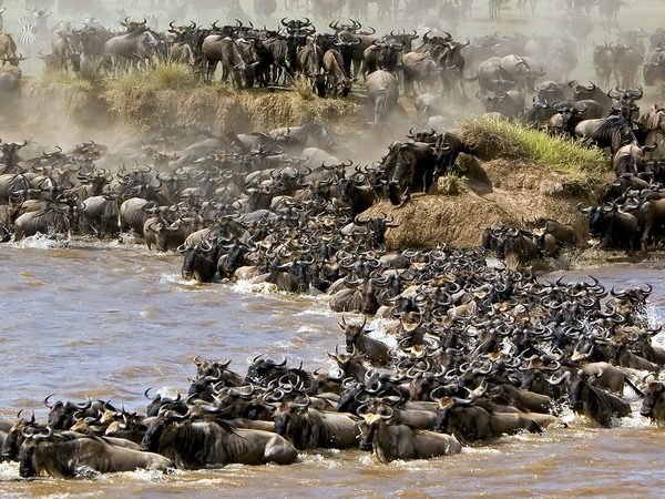 8 Days Kenya Photographic Safari