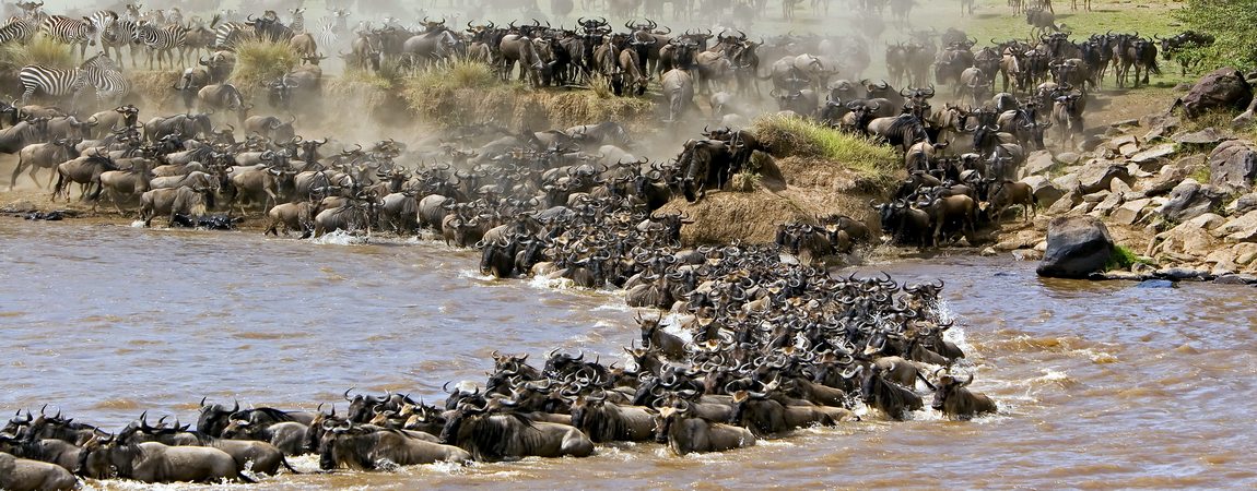 8 Days Kenya Photographic Safari