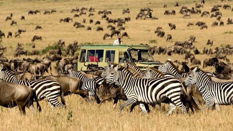 10 Days Kenya Tanzania Africa Safari Vacations