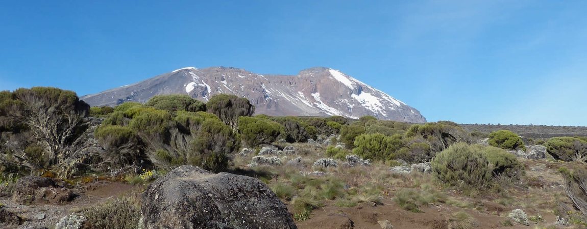 7 Days Mount Kilimanjaro Trekking Hiking Rongai Route
