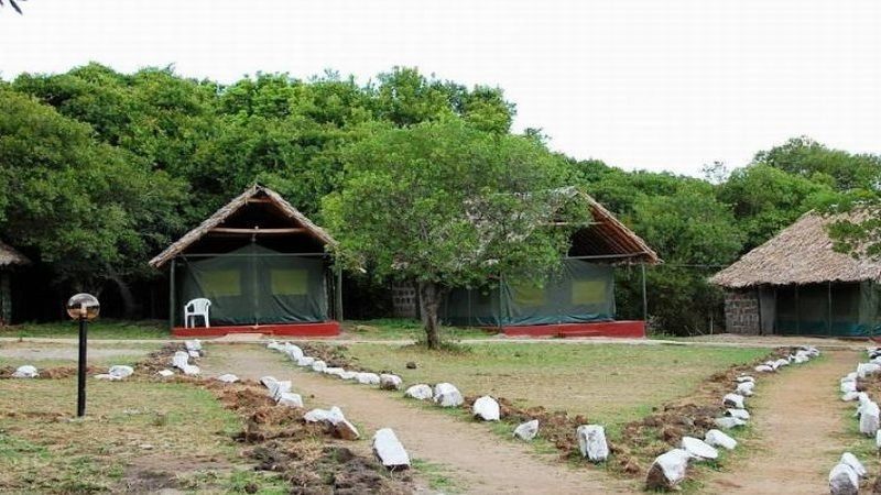 4 Days Masai Mara Budget Camping Safaris