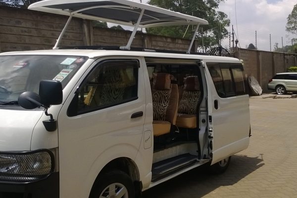 Mini Van Safari