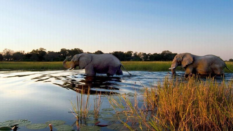 3 days Okavango Delta Safari