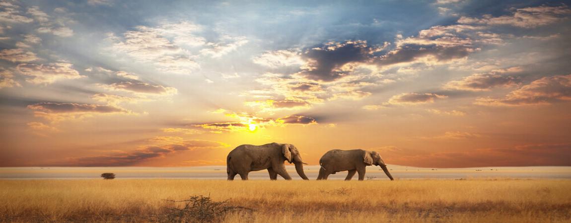 16 Days East Africa Guided Safari Adventure Holiday