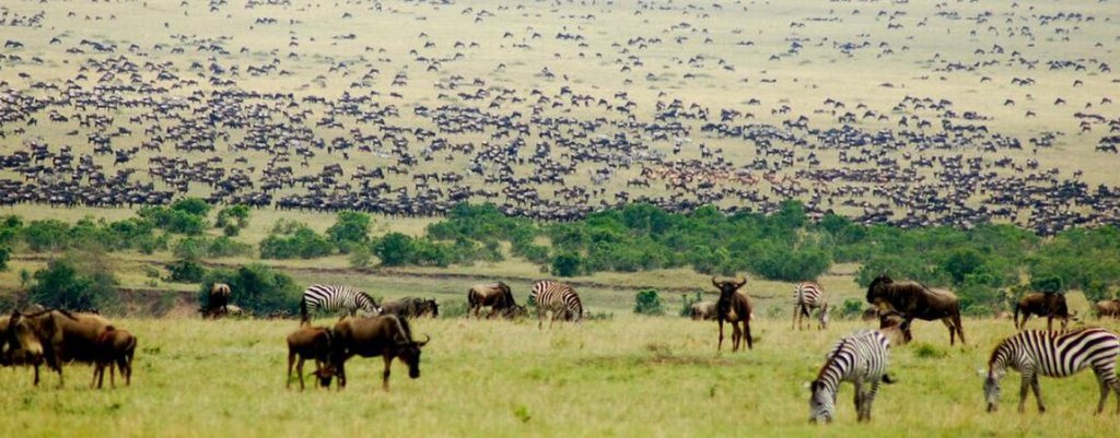 7 Days Kenya Photographic Safaris Adventures