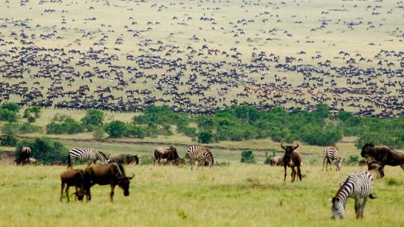 7 Days Kenya Photographic Safaris Adventures