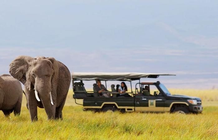 Africa Photographic safaris
