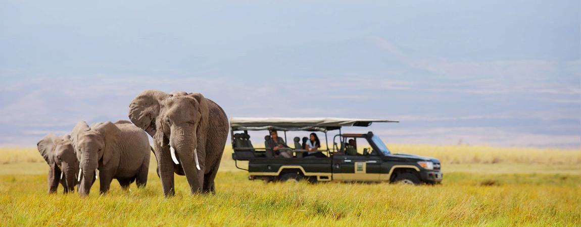 Africa Photographic safaris