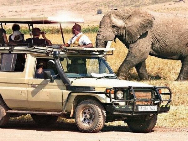 Africa Guided Wildlife Trips Safari Holiday