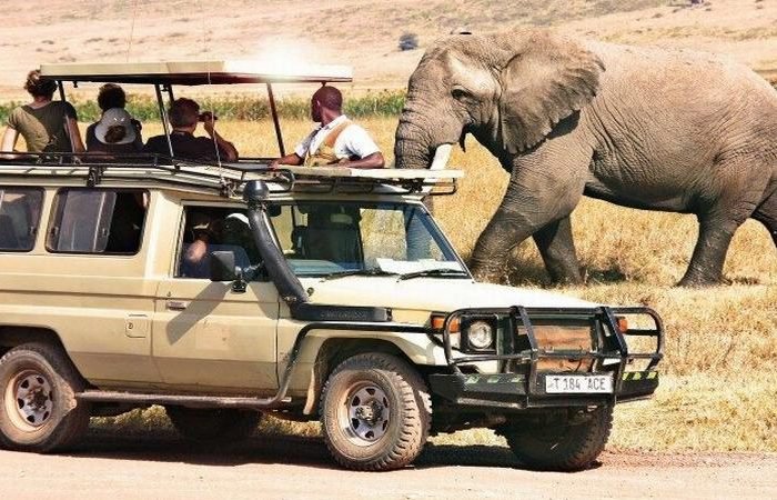 Africa Guided Wildlife Trips Safari Holiday