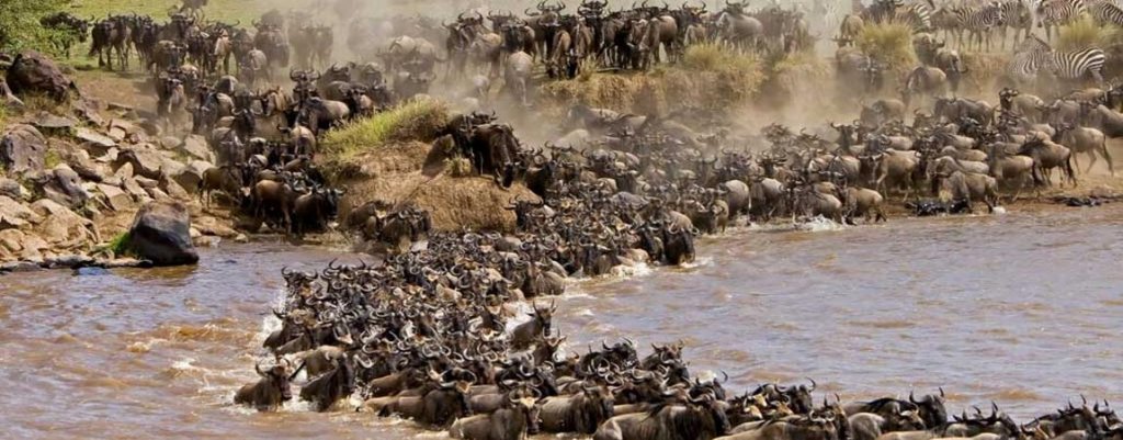 9 Days Kenya Photography Safari Adventure