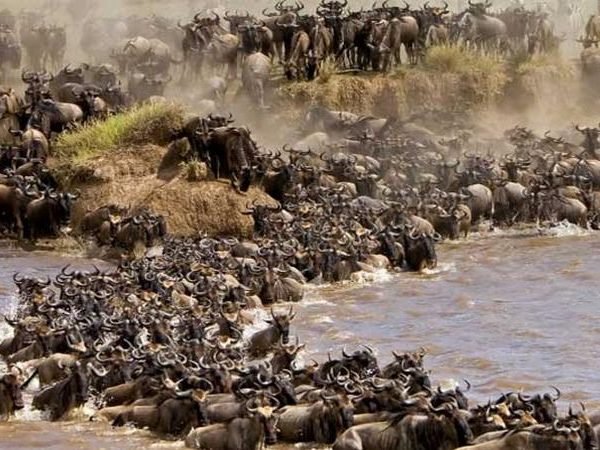 9 Days Kenya Photography Safari Adventure