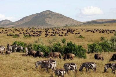 Africa safari vacation packages