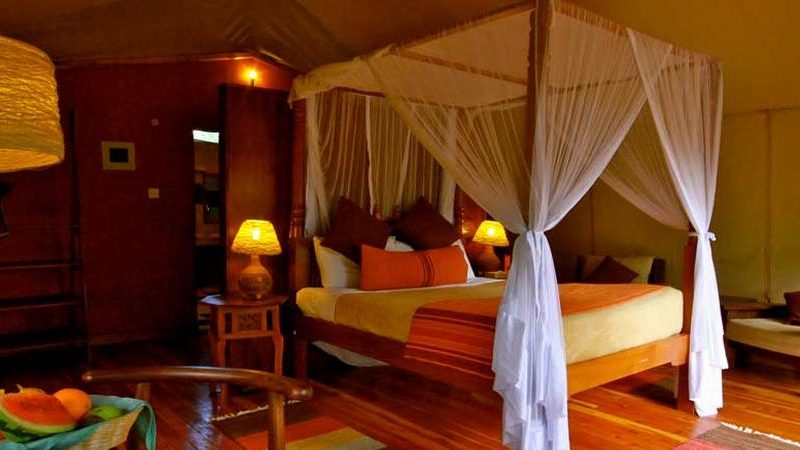 3 Days Mara Leisure Luxury Camp Flying Safari Holidays Package