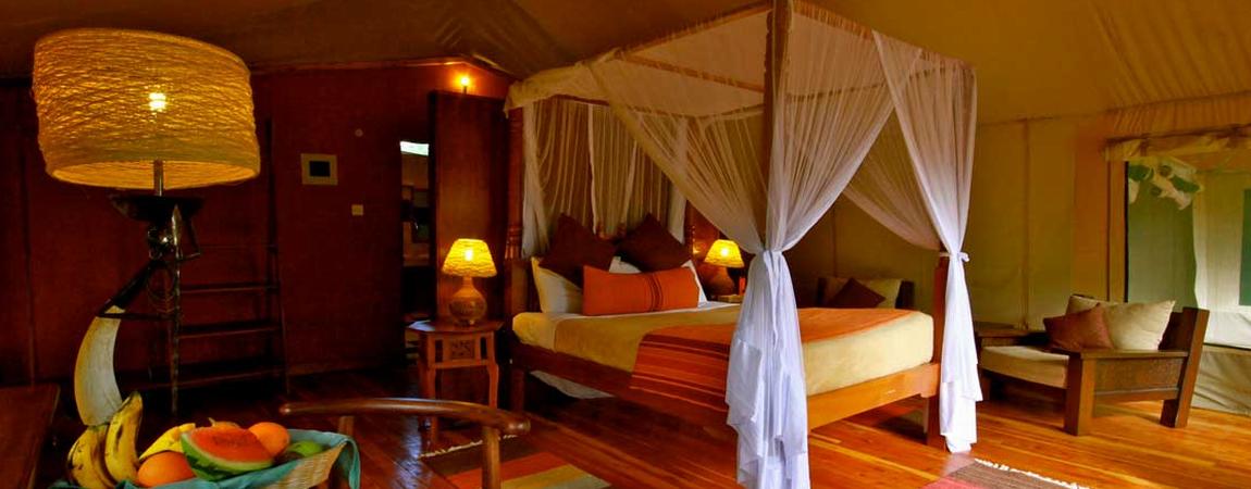 3 Days Mara Leisure Luxury Camp Flying Safari Holidays Package