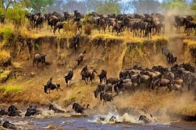 Africa safari vacation packages